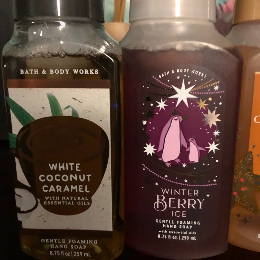 NWT Bath & Body Works 5 Pc Hand Soap - Picture 5 of 7